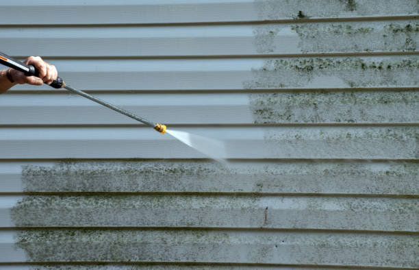 Best Exterior Home Cleaning  in Rutherfordton, NC
